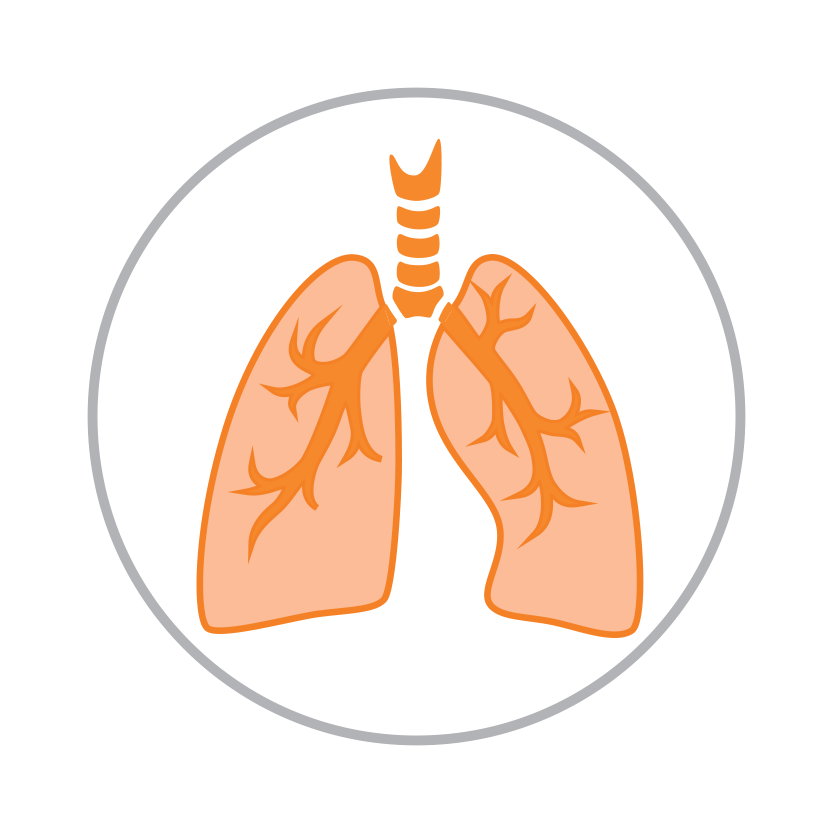 Meridián plic (dýchání)
