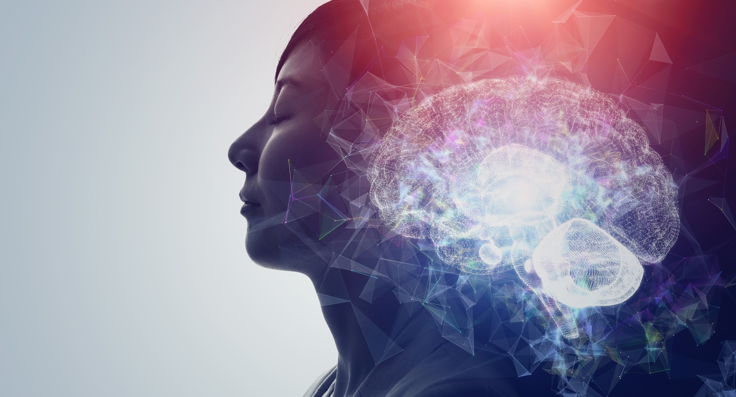 Mindfulness: Moderní proud neurobiologie, psychologie a psychiatrie